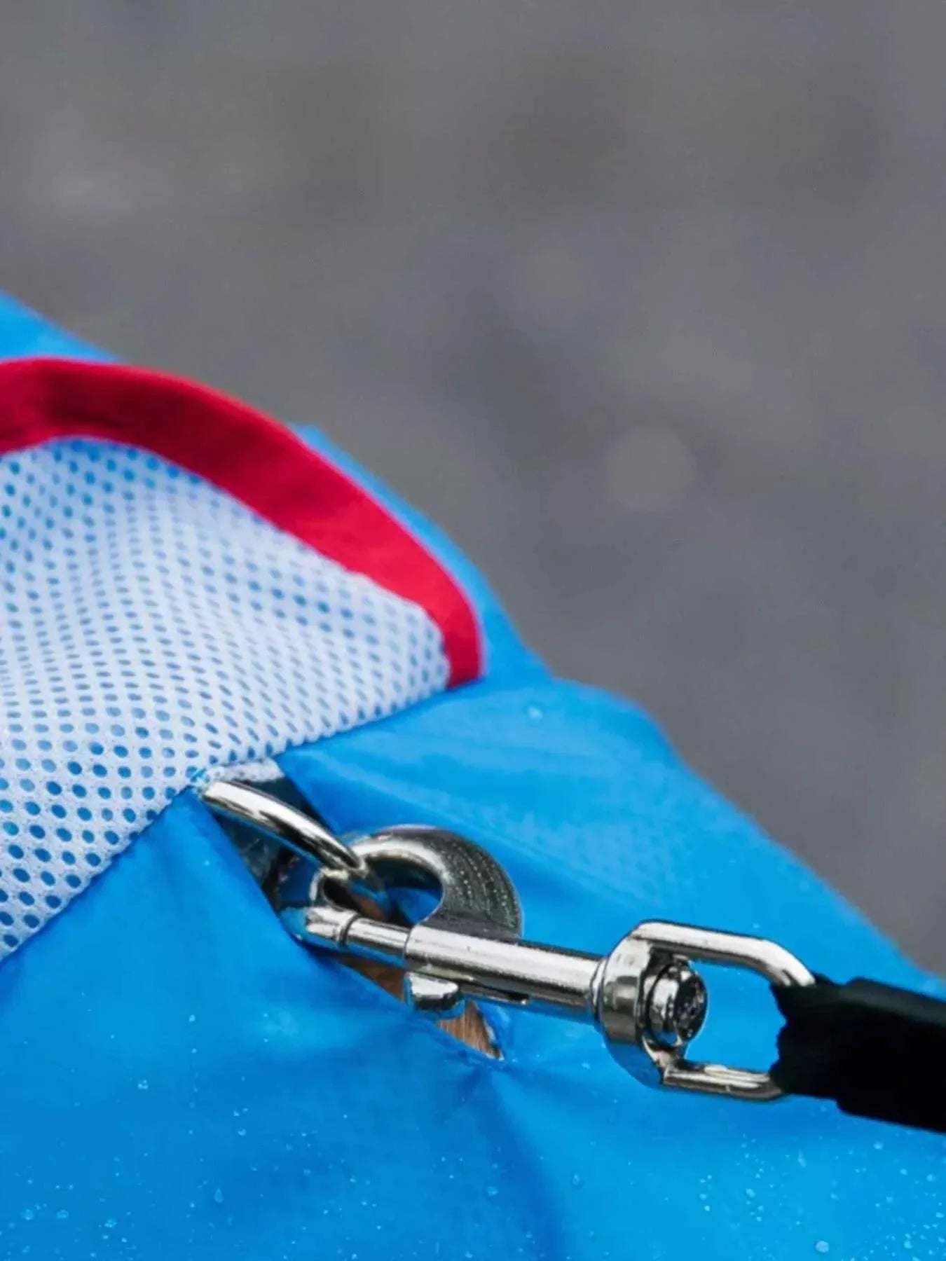 Waterproof Dog Raincoat - Dinosaur Style with Hood