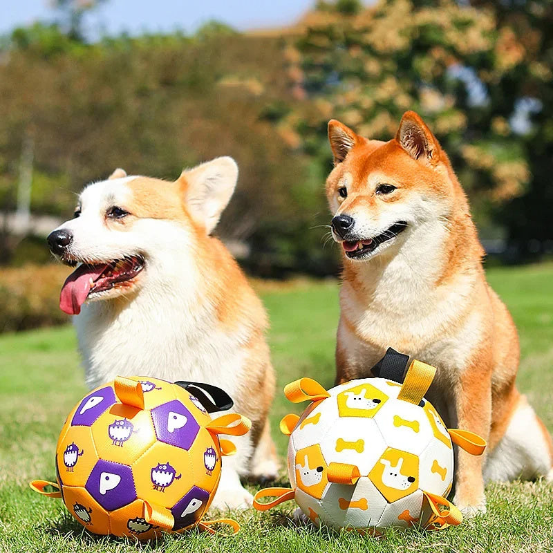 Dog Soccer Ball - Interactive Toy with Cute Prints