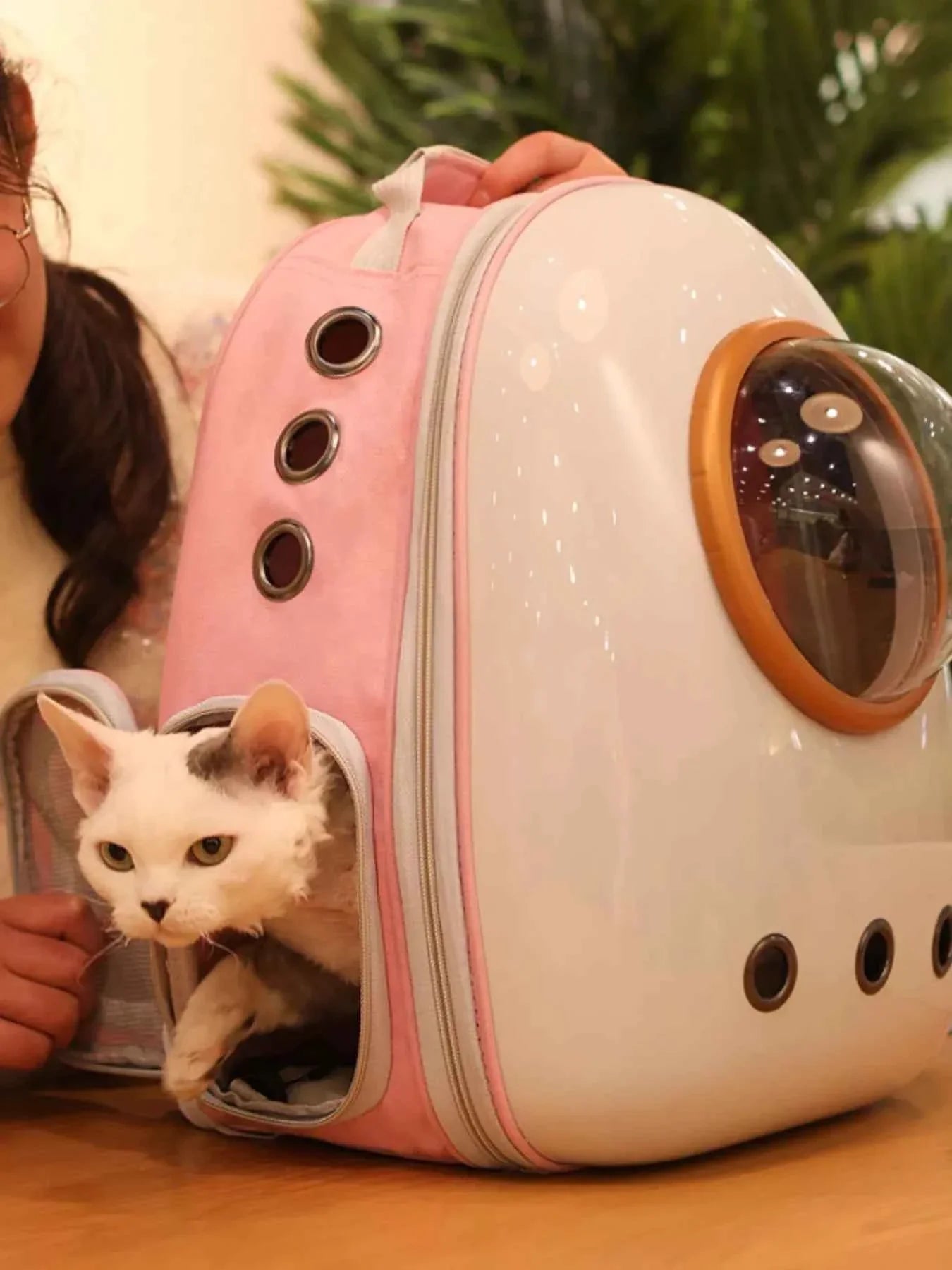 Pet Carrier Backpack - Space Capsule Transparent Bubble