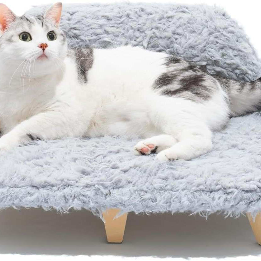 Grey Modern Elevated Pet Bed - Wooden