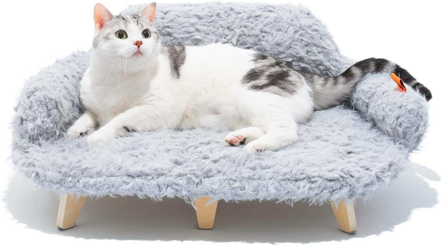 Grey Modern Elevated Pet Bed - Wooden