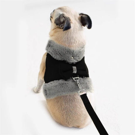 Bow Tie Puppy Harness - Warm Padded Dog Leash Set