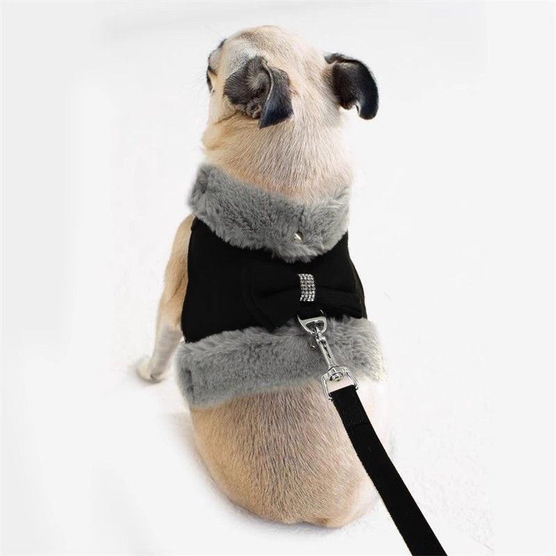 Bow Tie Puppy Harness - Warm Padded Dog Leash Set