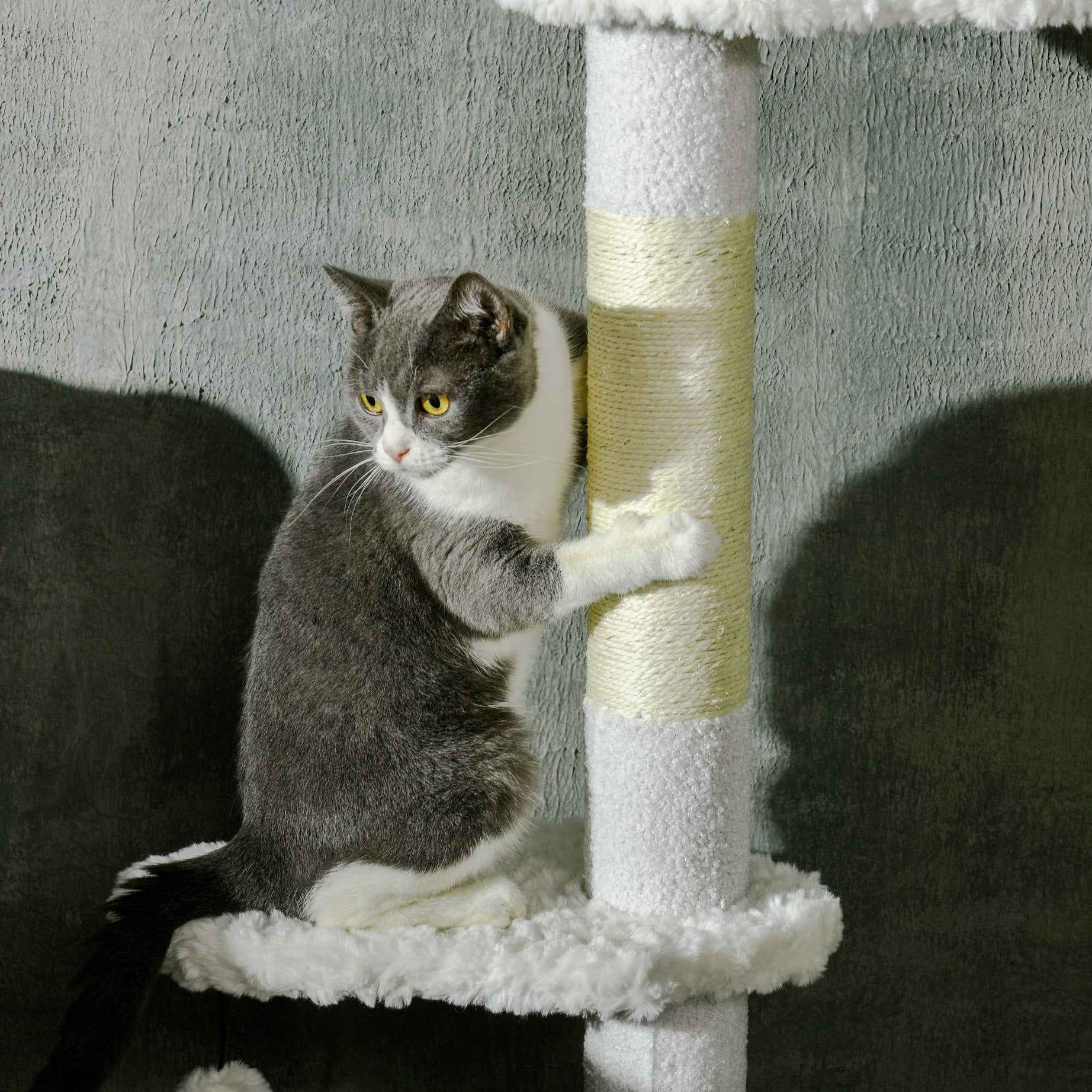 Cat Tree Floor to Ceiling - Adjustable Cloud Perches Sisal