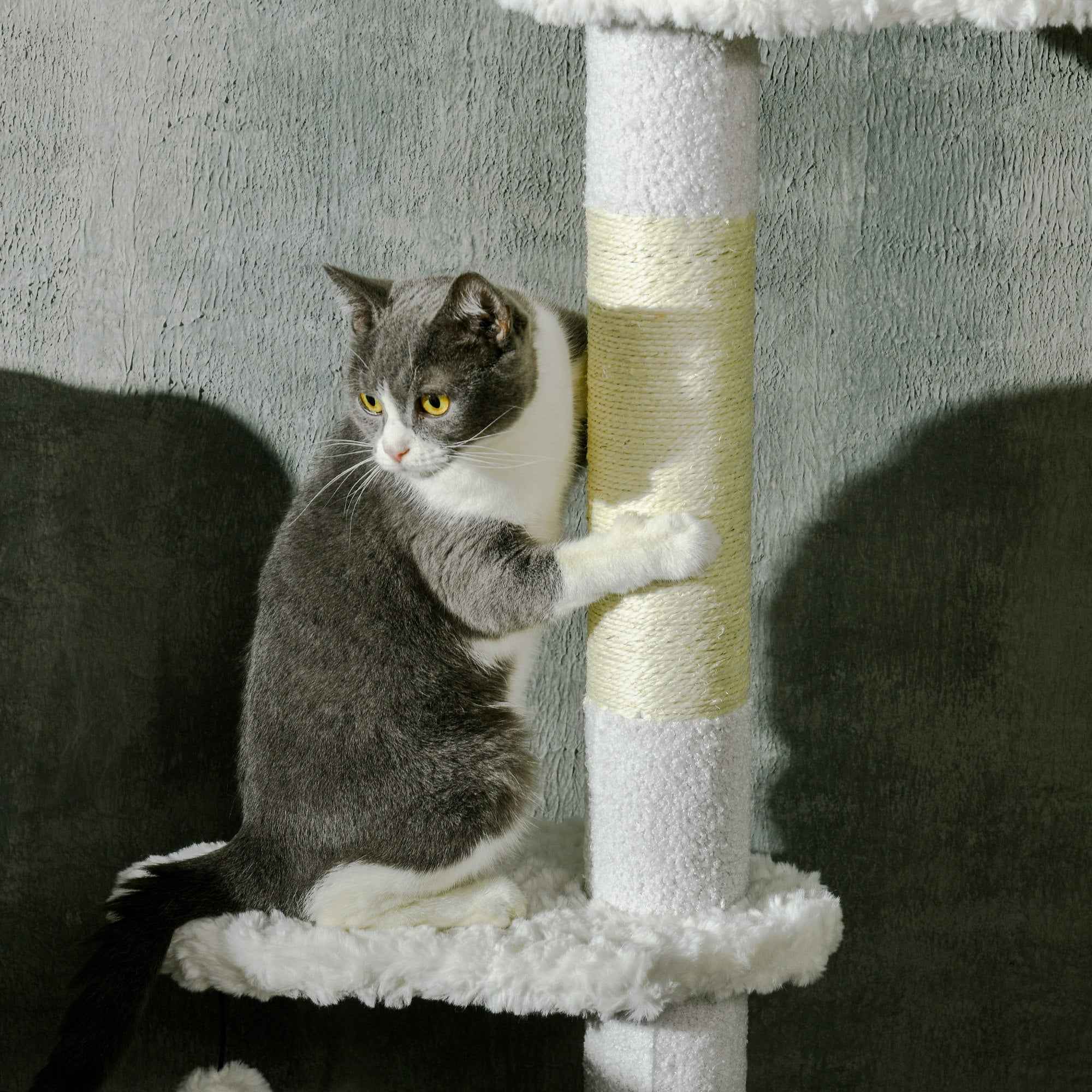 Cat Tree Floor to Ceiling - Adjustable Cloud Perches Sisal