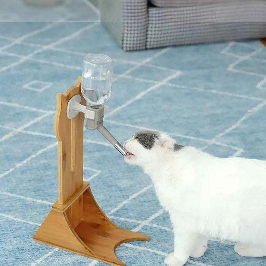Pet Water Dispenser - Elevated Wooden Base