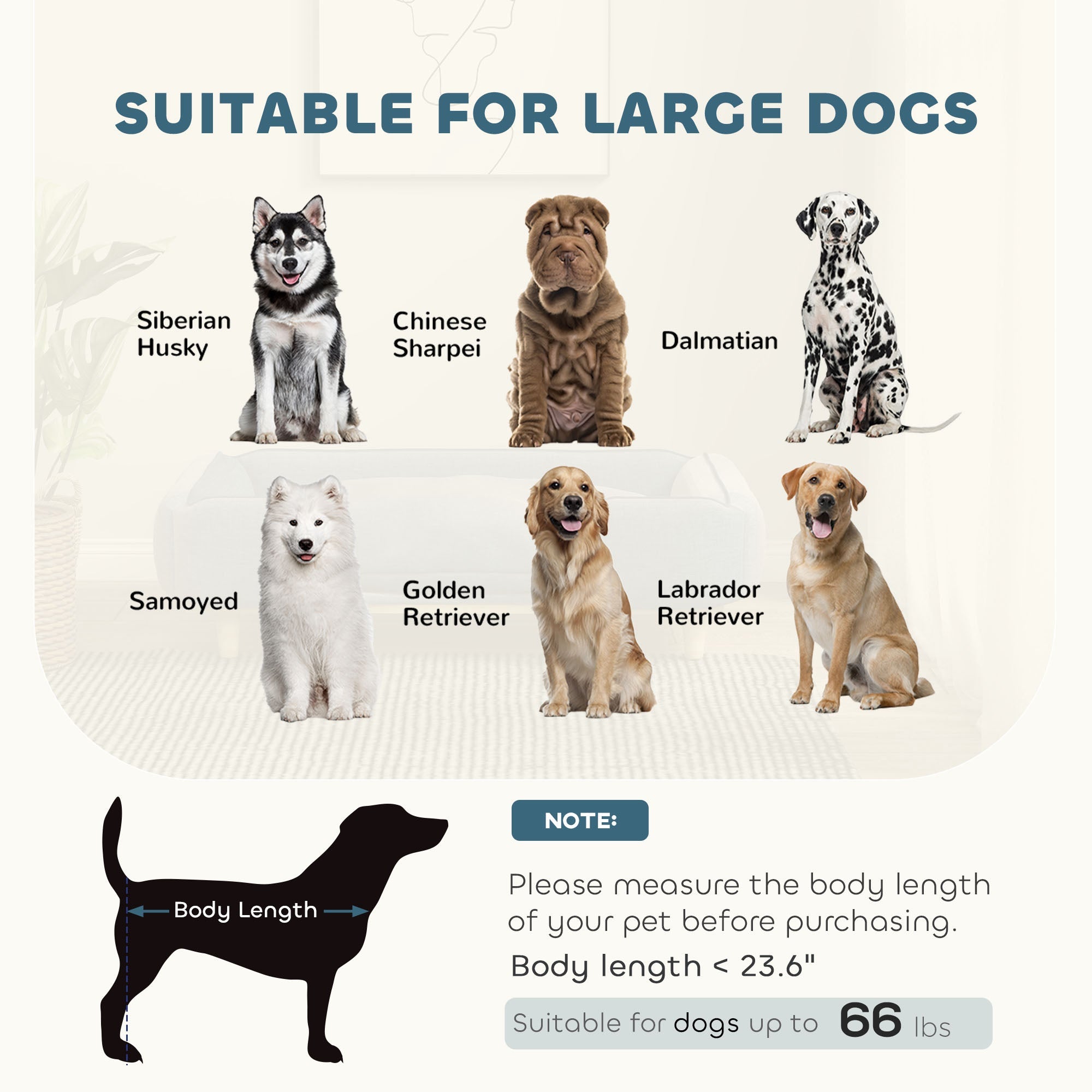 Dog Couch - Raised Elevated Bed for Large Dogs