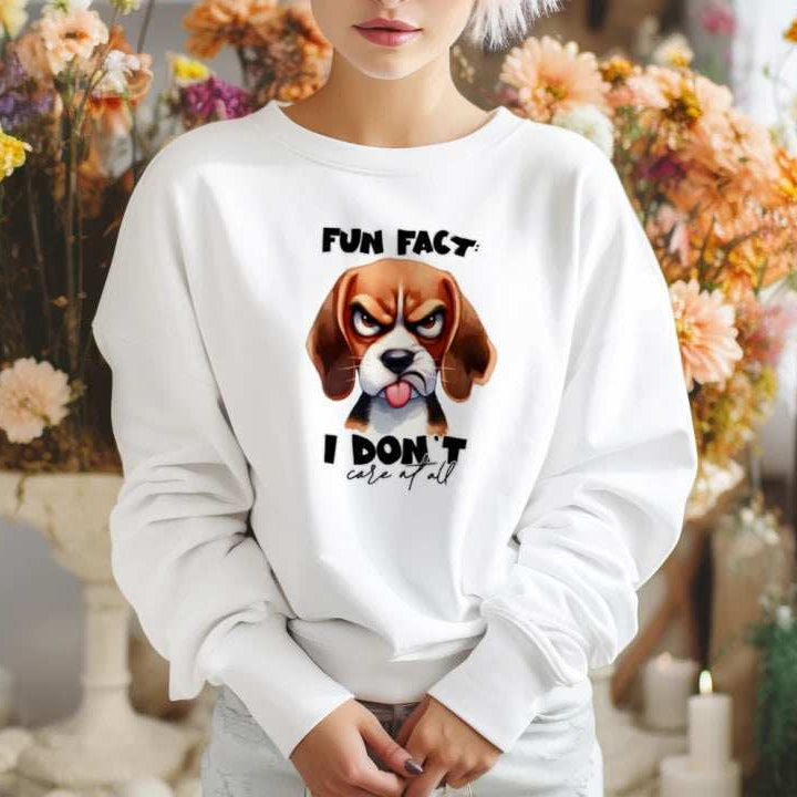 Fun Fact Don't Care Crewneck - Funny Sarcastic Sweatshirt