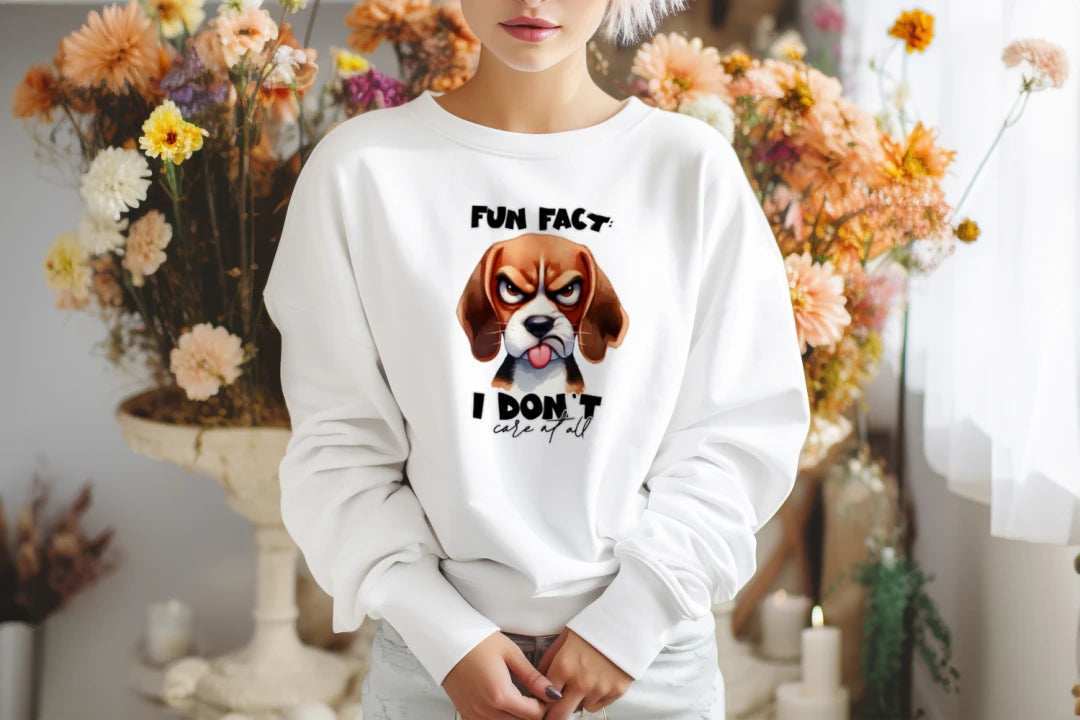 Fun Fact Don't Care Crewneck - Funny Sarcastic Sweatshirt