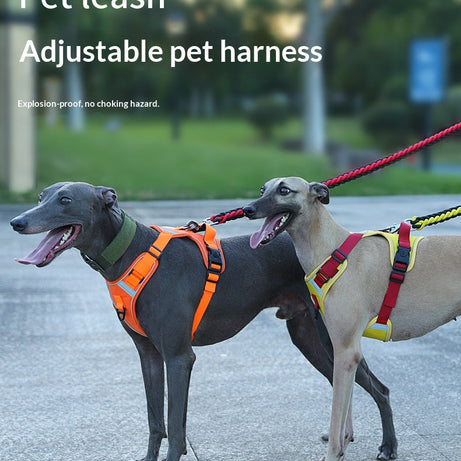 Adjustable Dog Harness - Large Chest Style with Leash