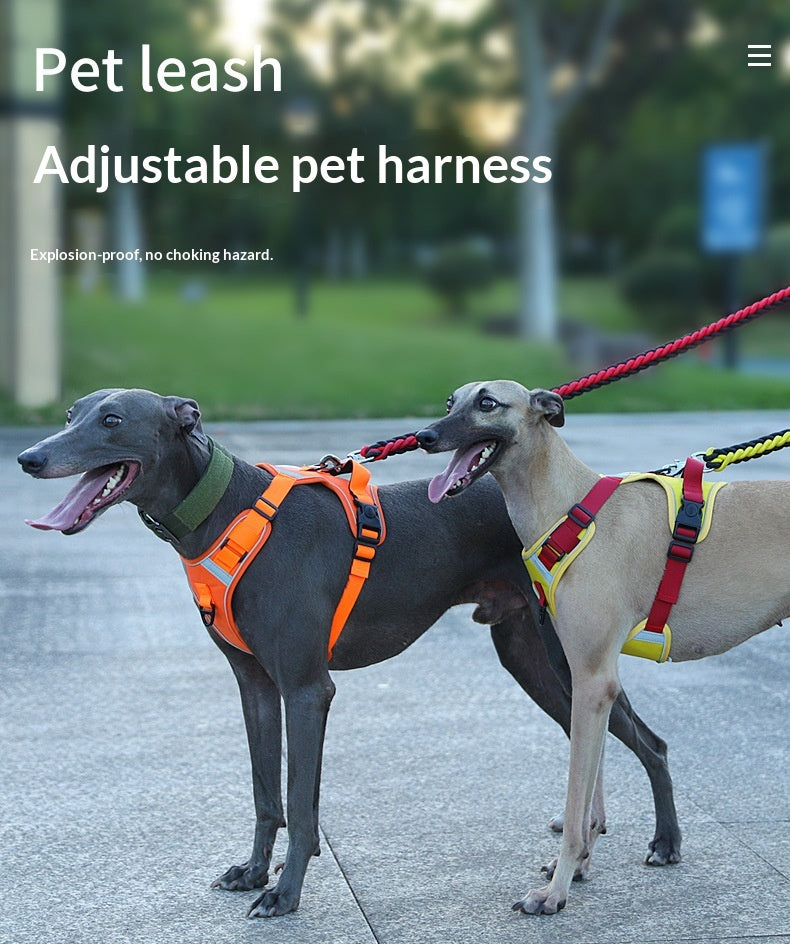 Adjustable Dog Harness - Large Chest Style with Leash