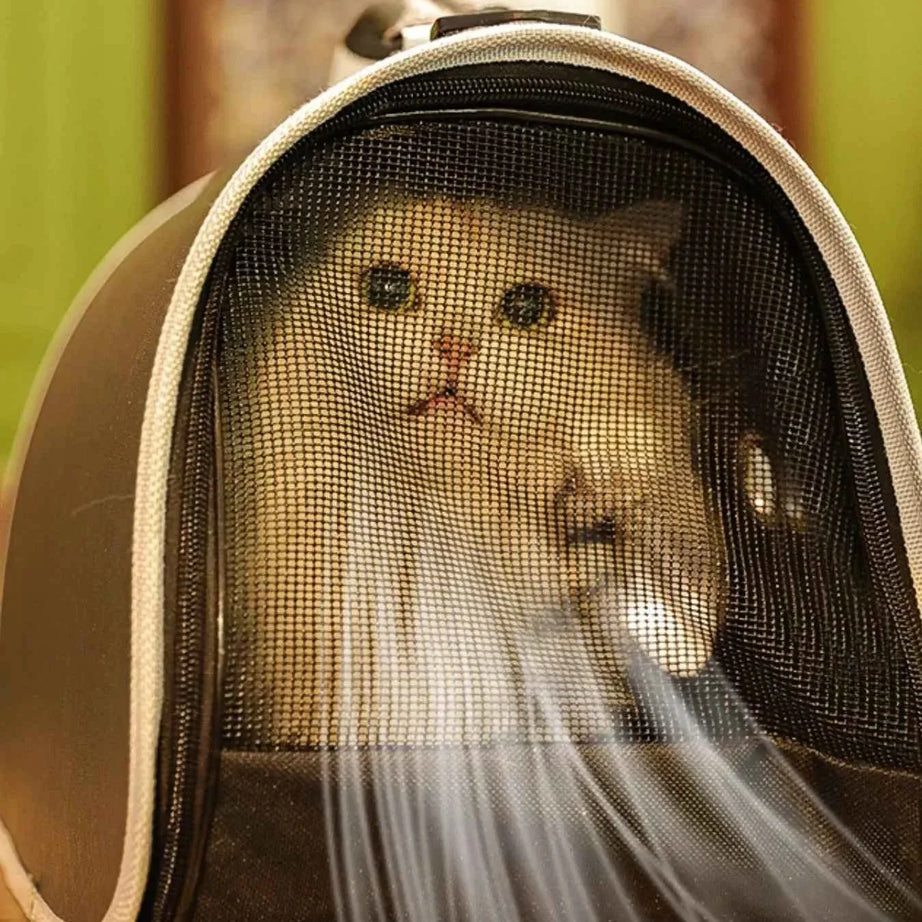 Pet Carrier Bag - Portable Bubble Window