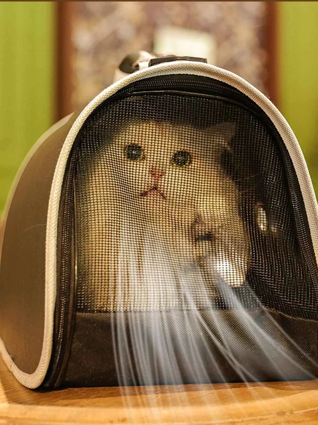 Pet Carrier Bag - Portable Bubble Window