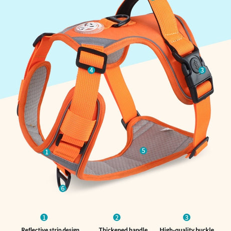 Adjustable Dog Harness - Large Chest Style with Leash
