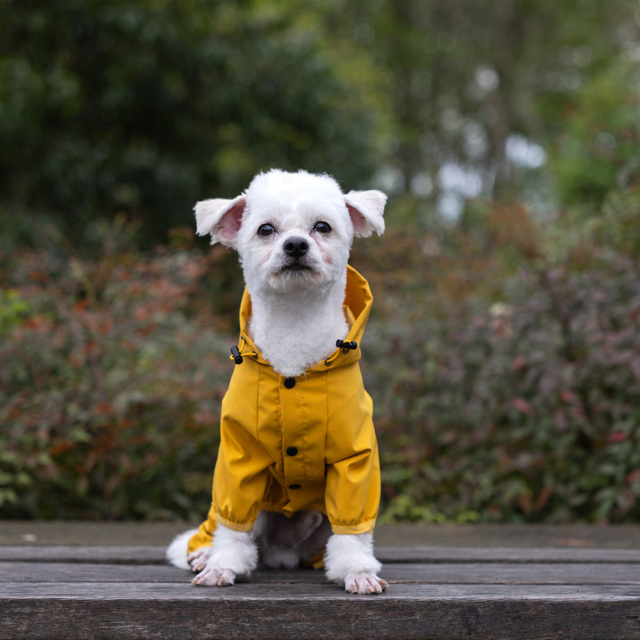Adorable Pet Raincoat - Four-legged Waterproof Poncho