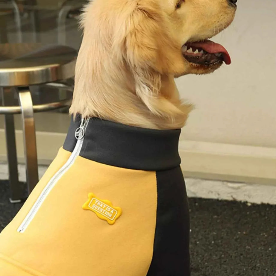 Dog Jacket Two-Tone - Button Closure Collar Coat