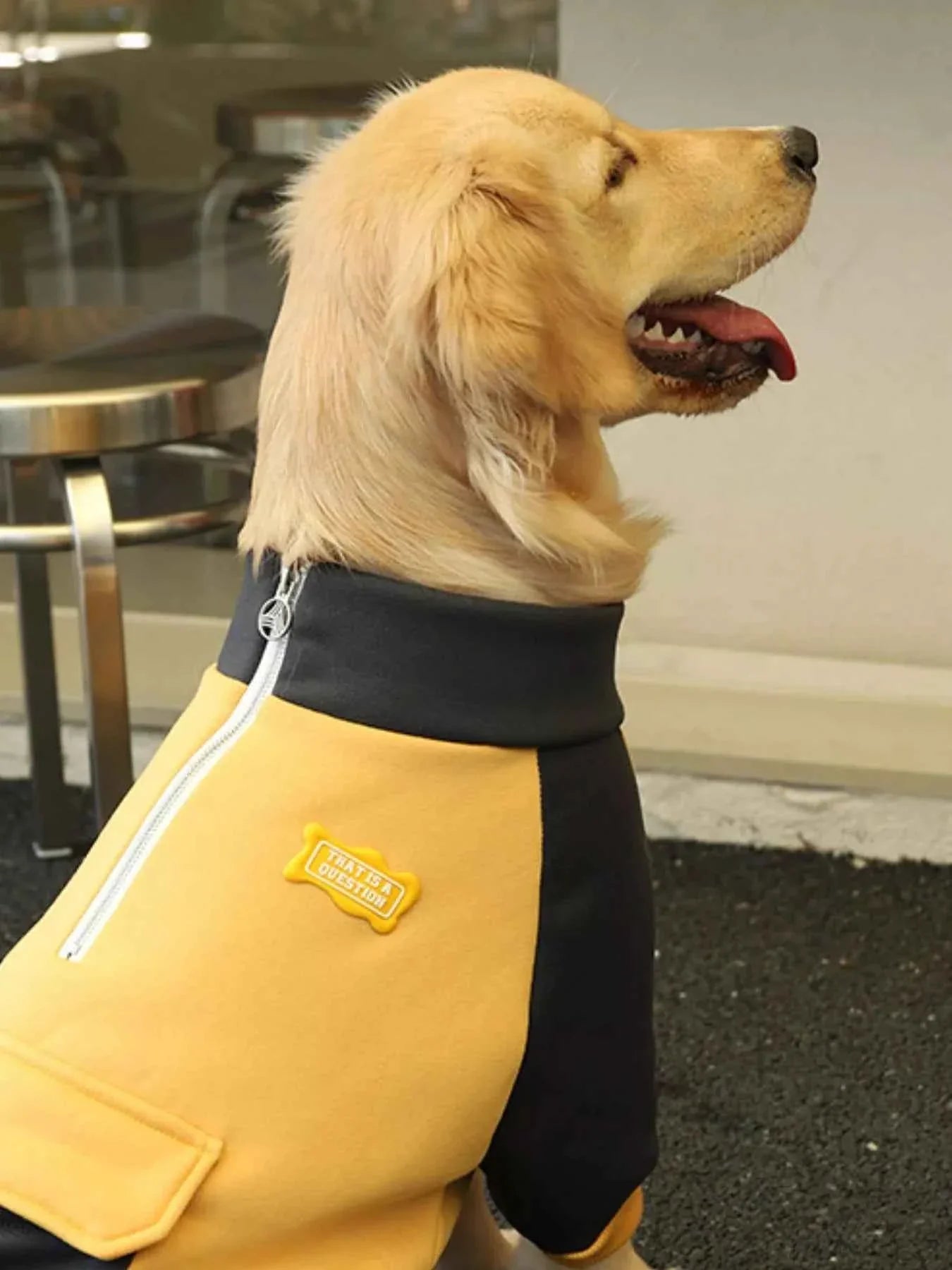 Dog Jacket Two-Tone - Button Closure Collar Coat