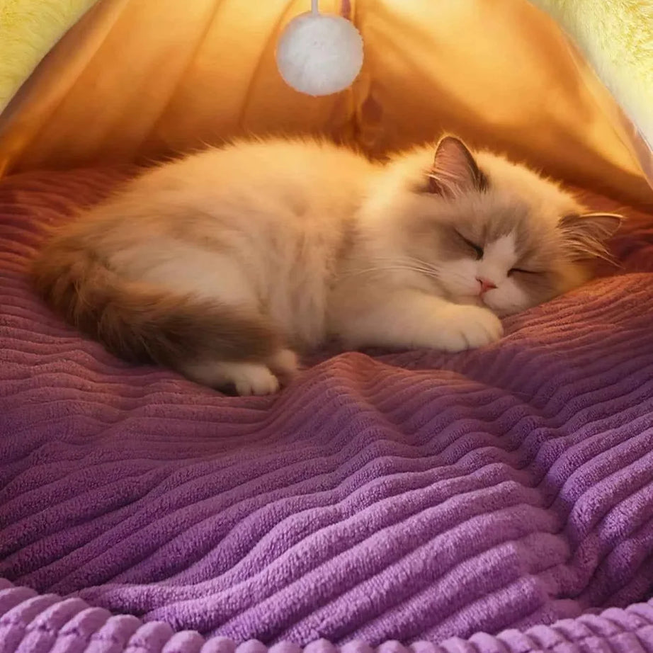 Cartoon Style Pet Nest - Cute Bed with Hanging Ball