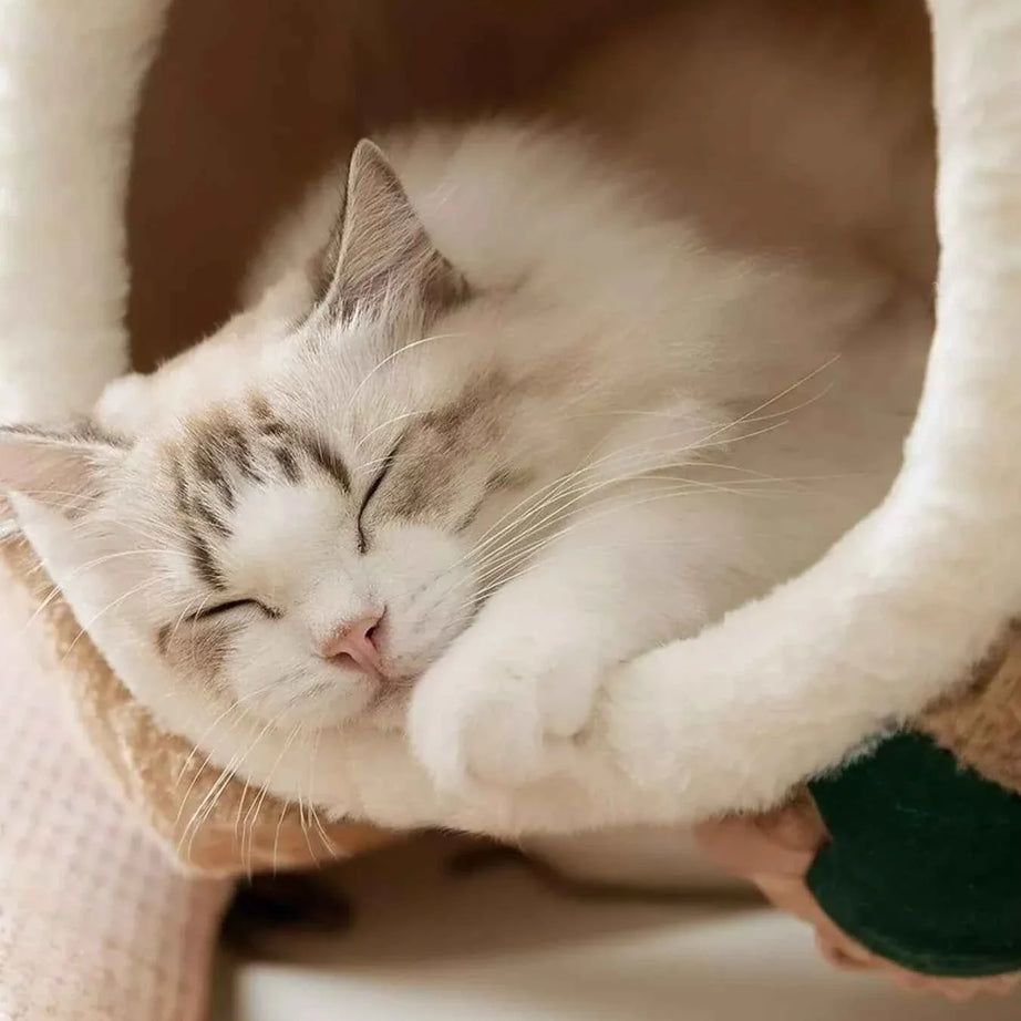 Pet Bed Tree Stump Shaped - Cozy Semi-Enclosed Cave