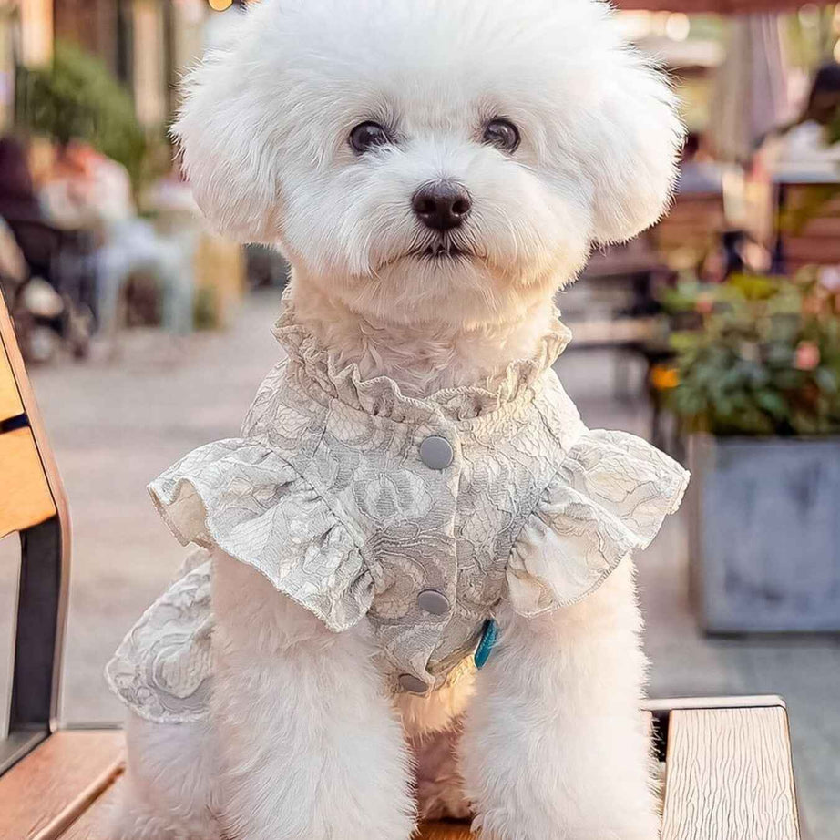 Dog Lace Ruffle Dress - Jacquard Bow with Rhinestone for Small Dogs