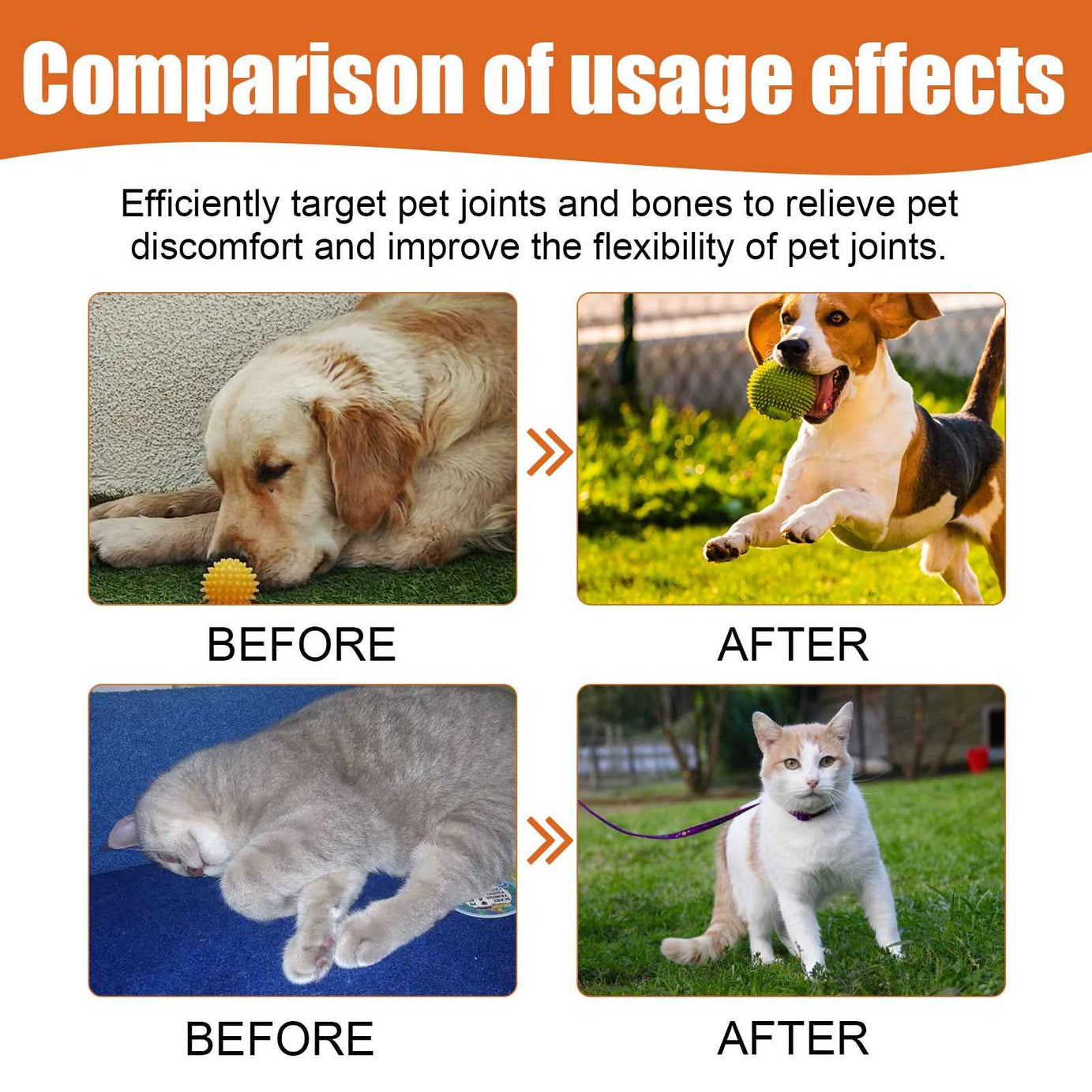 Pet Joint Relief Oil 30ml - Bee Venom Topical Supplement Dogs and Cats