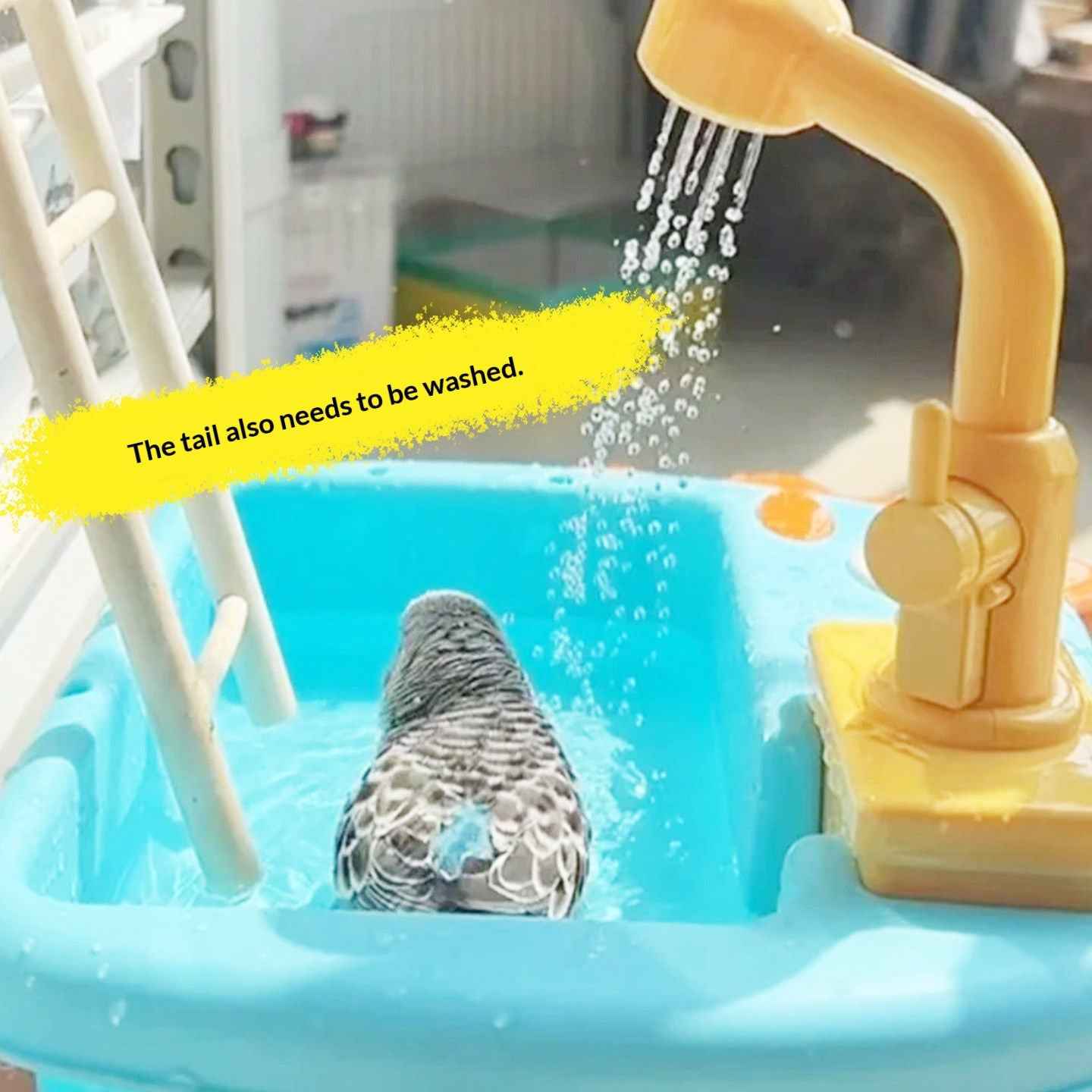 Automatic Pet Bird Dinosaur Bathtub Toy for Parrots & Parakeets