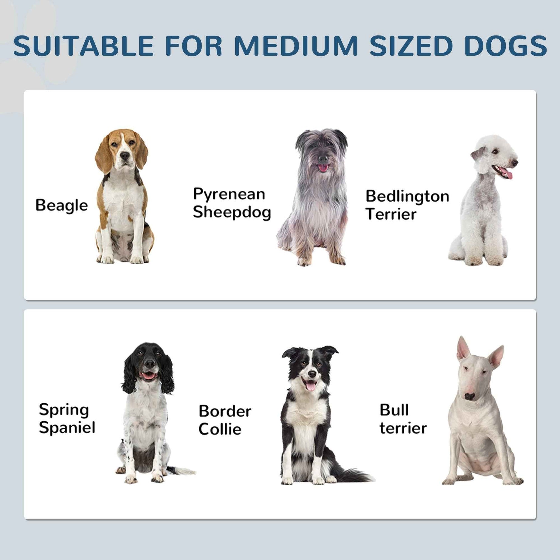 Dog Feeding Station Cabinet - Raised Bowls Storage and Hooks