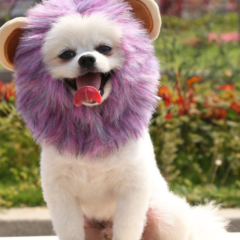 Pet Lion Mane Hat - Funny Costume Headwear for Cats and Dogs