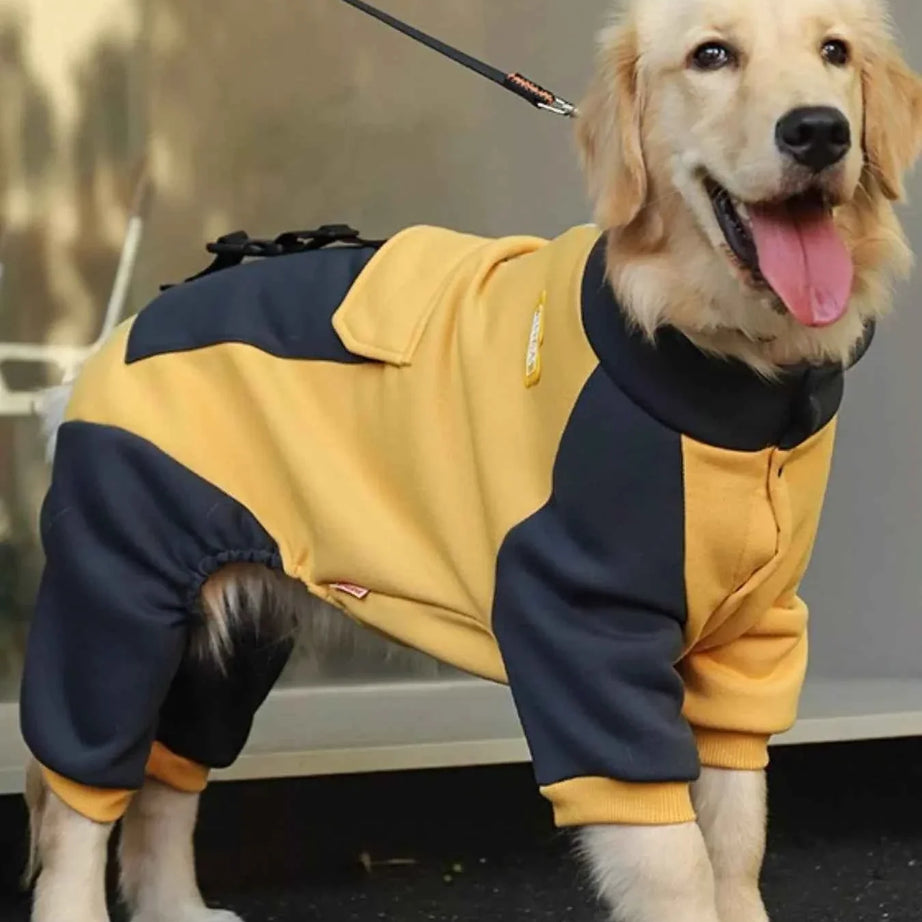 Dog Jacket Two-Tone - Button Closure Collar Coat