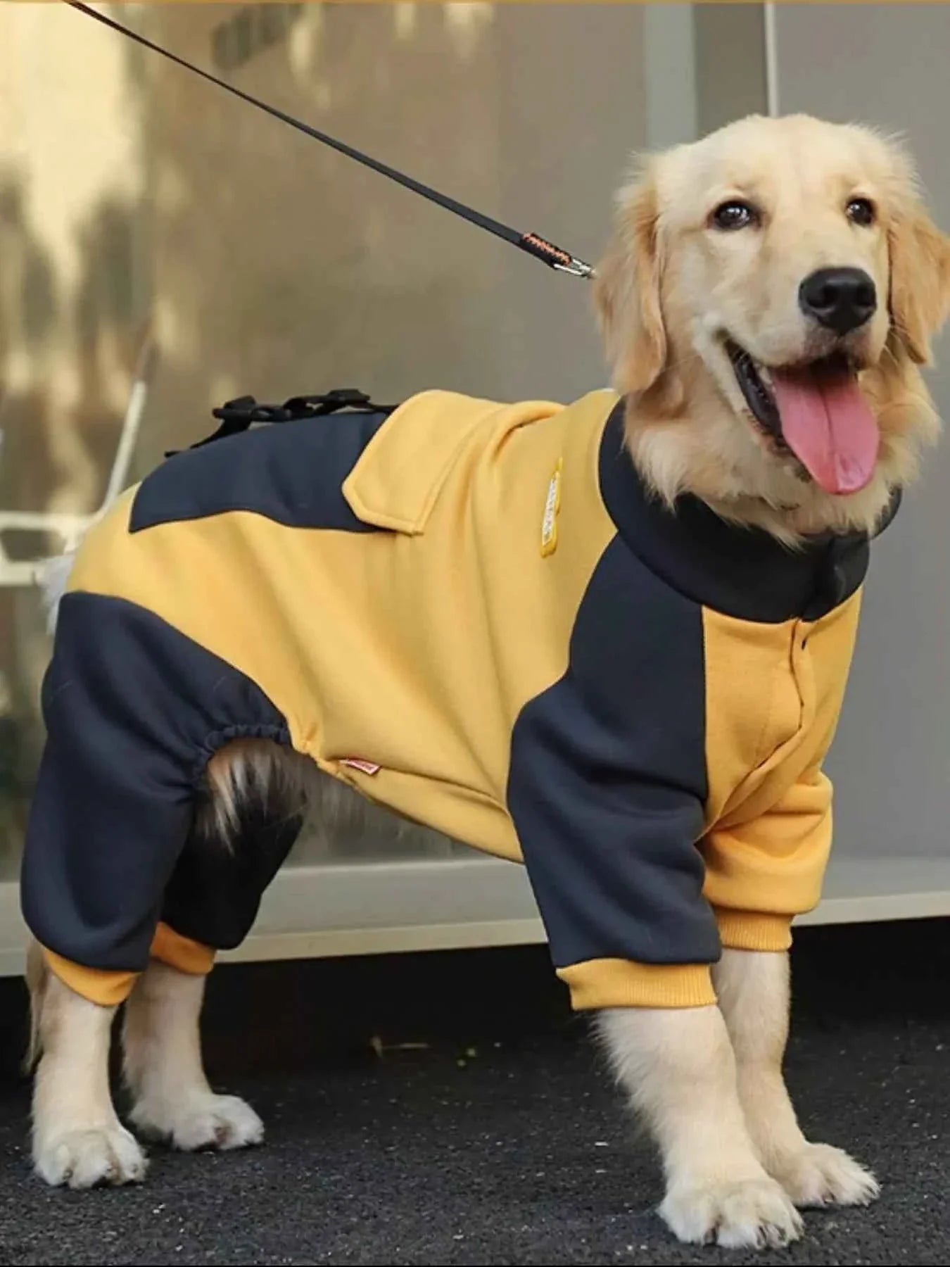 Dog Jacket Two-Tone - Button Closure Collar Coat