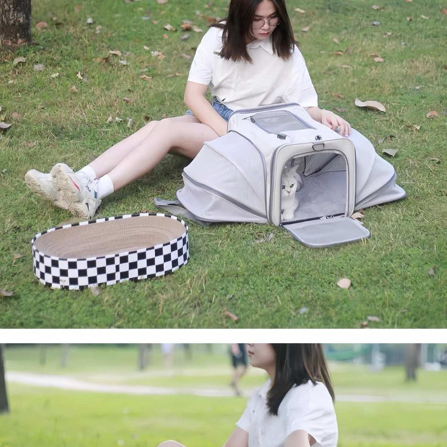 Portable Pet Carrier for Cats and Small Dogs - Breathable Travel Backpack