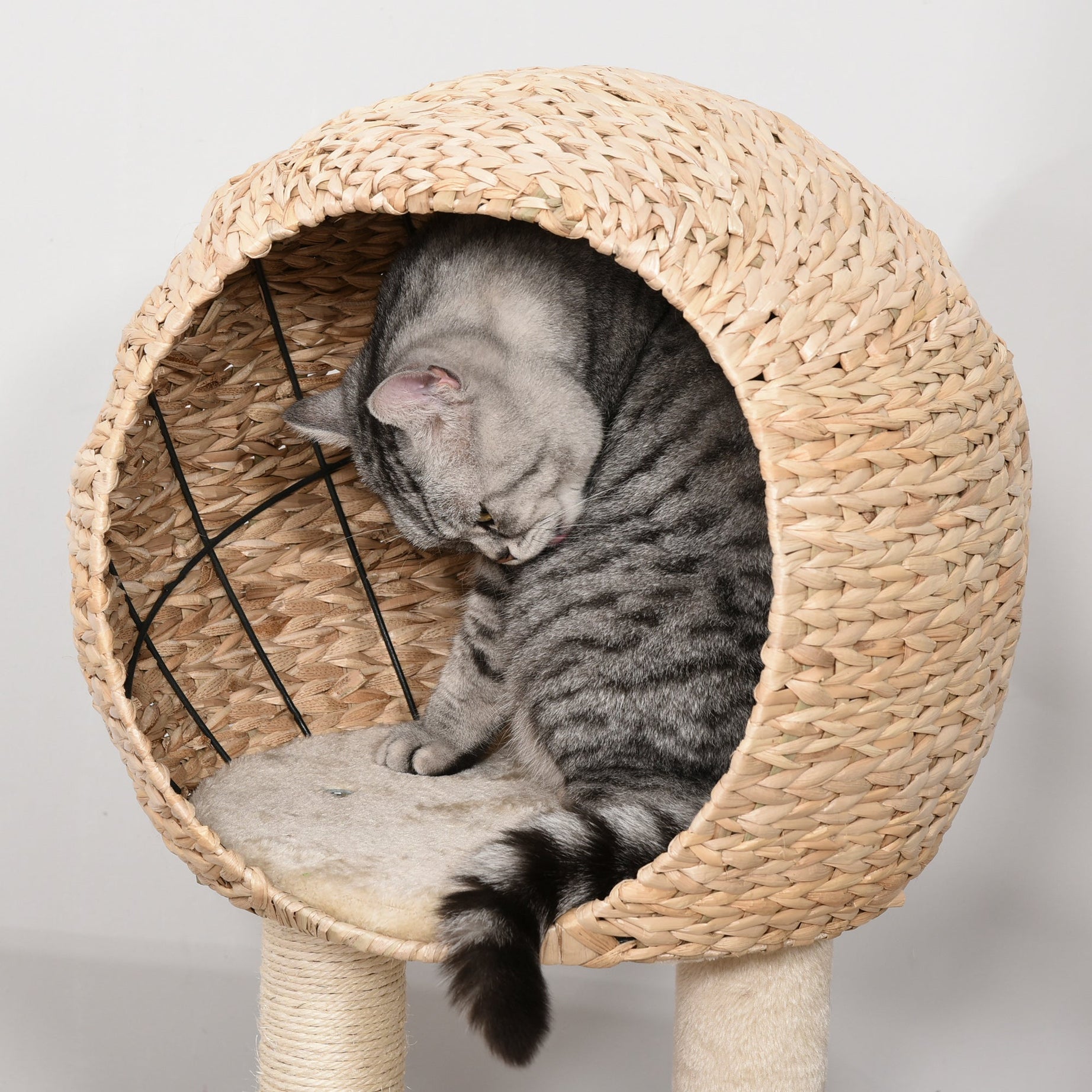 Cat Tree Condo with Sisal Post - Hanging Rope Toy Included