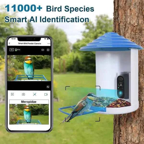 Smart Bird Feeder With Solar Powered Camera - 1080P HD AI Identify