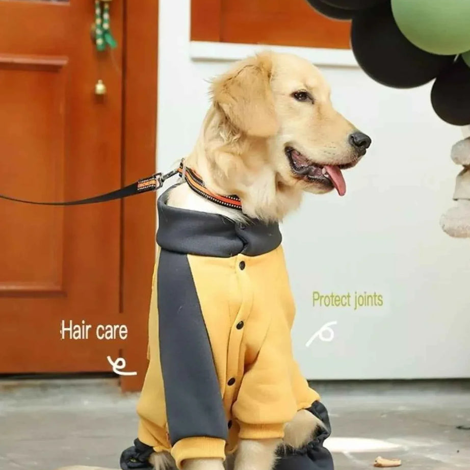 Dog Jacket Two-Tone - Button Closure Collar Coat