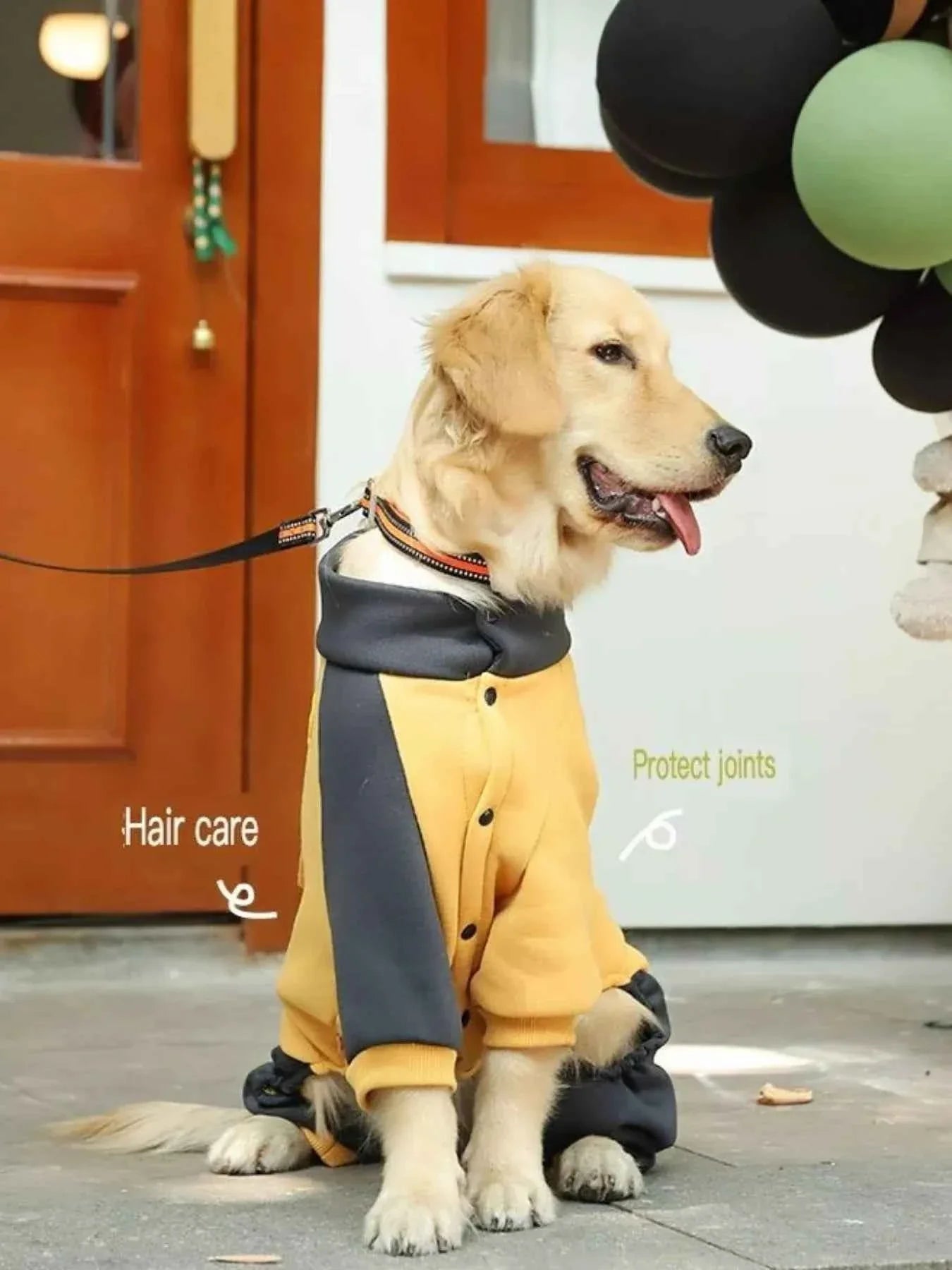 Dog Jacket Two-Tone - Button Closure Collar Coat