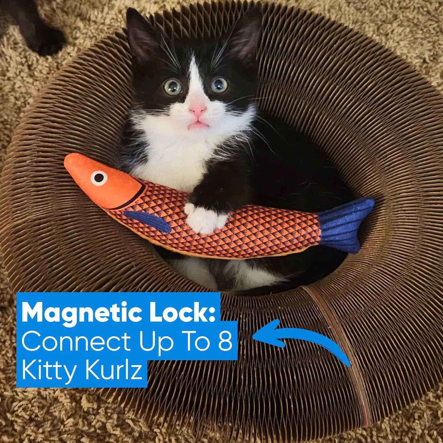 Cat Toy With Bells - Accordion-style Scratching Post