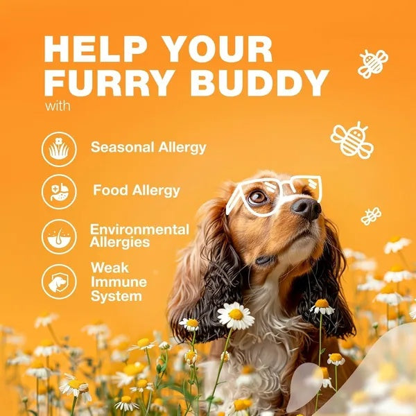 Dog Allergy Relief Chews - Itch Support