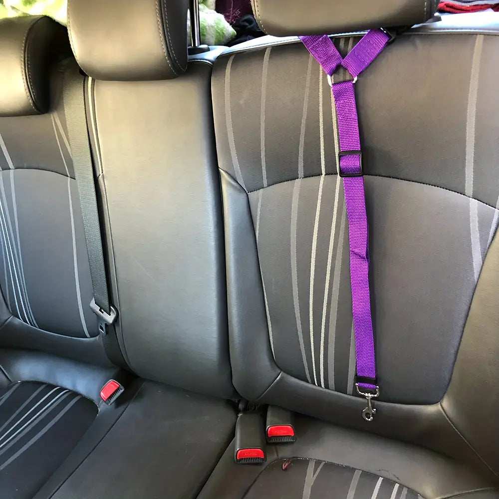 Adjustable Harness Solid Two-in-one Car BackSeat Pet Safety Belt Lead Leash