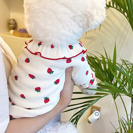 Summer Thin Lace Ruffle Strawberry Pet Cat Dog Clothes