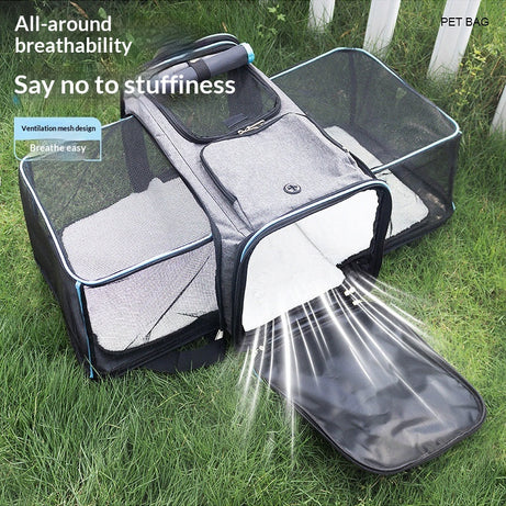 Foldable Pet Carrier Bag - Car Seat Travel Bag for Cats and Small Dogs