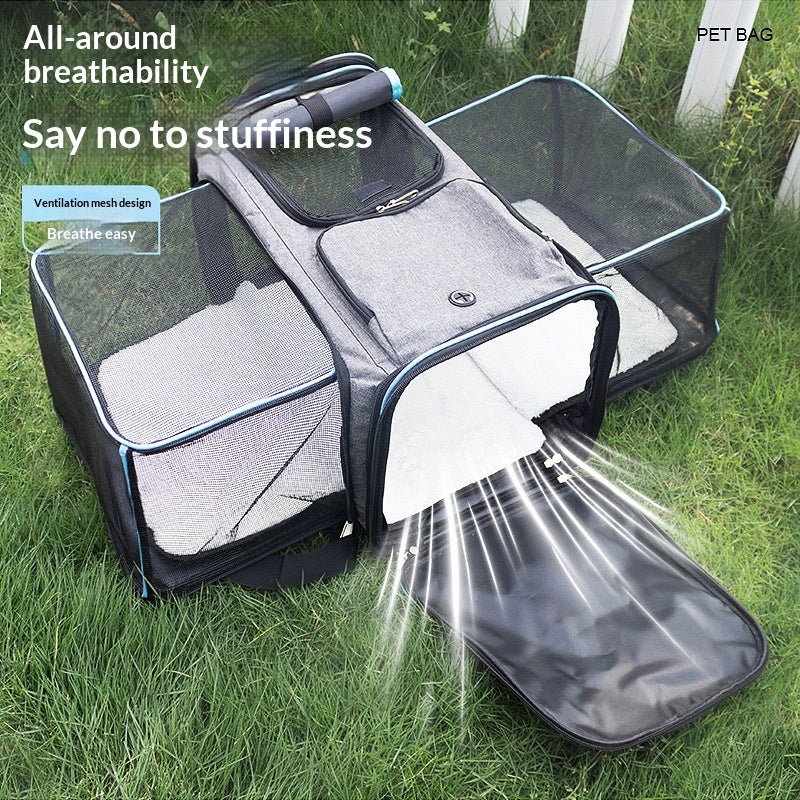 Foldable Pet Carrier Bag - Car Seat Travel Bag for Cats and Small Dogs