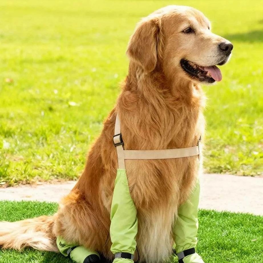 Dog Boots Waterproof Protective - Adjustable Paw Shoes