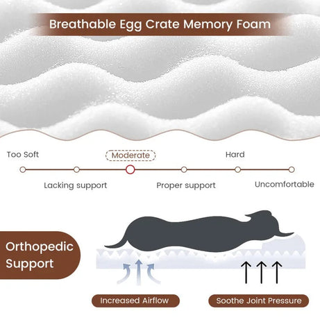 Large Dog Orthopedic Bed - Memory Foam with Washable Cover