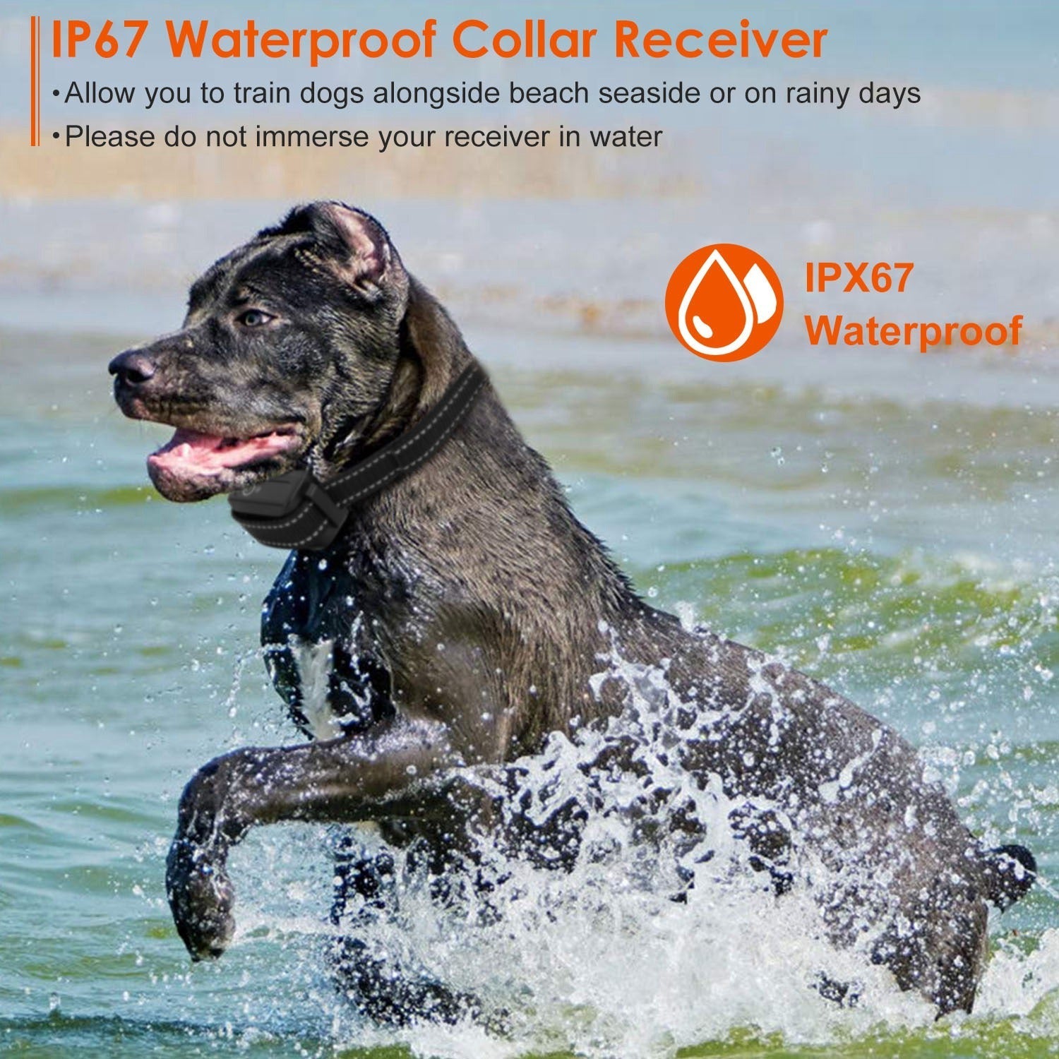 Dog Training Collar - 3280ft Range IP67 Waterproof 3 Modes