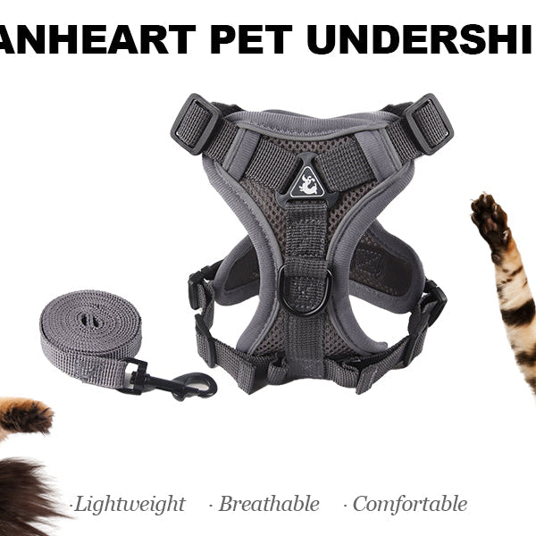 Anti-Escape Cat Harness - Breathable Mesh Leash Set