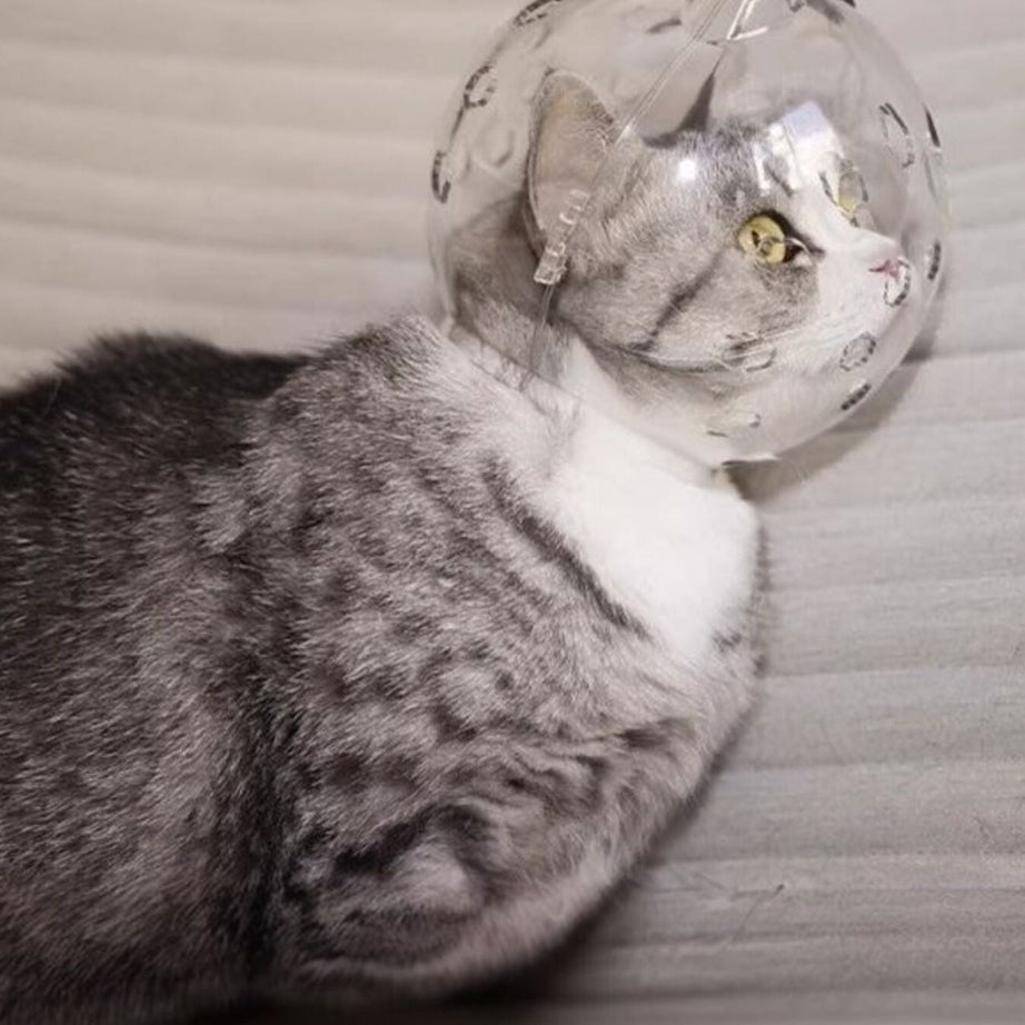 Clear Shield - Anti-Bite Pet Spherical Head Cover