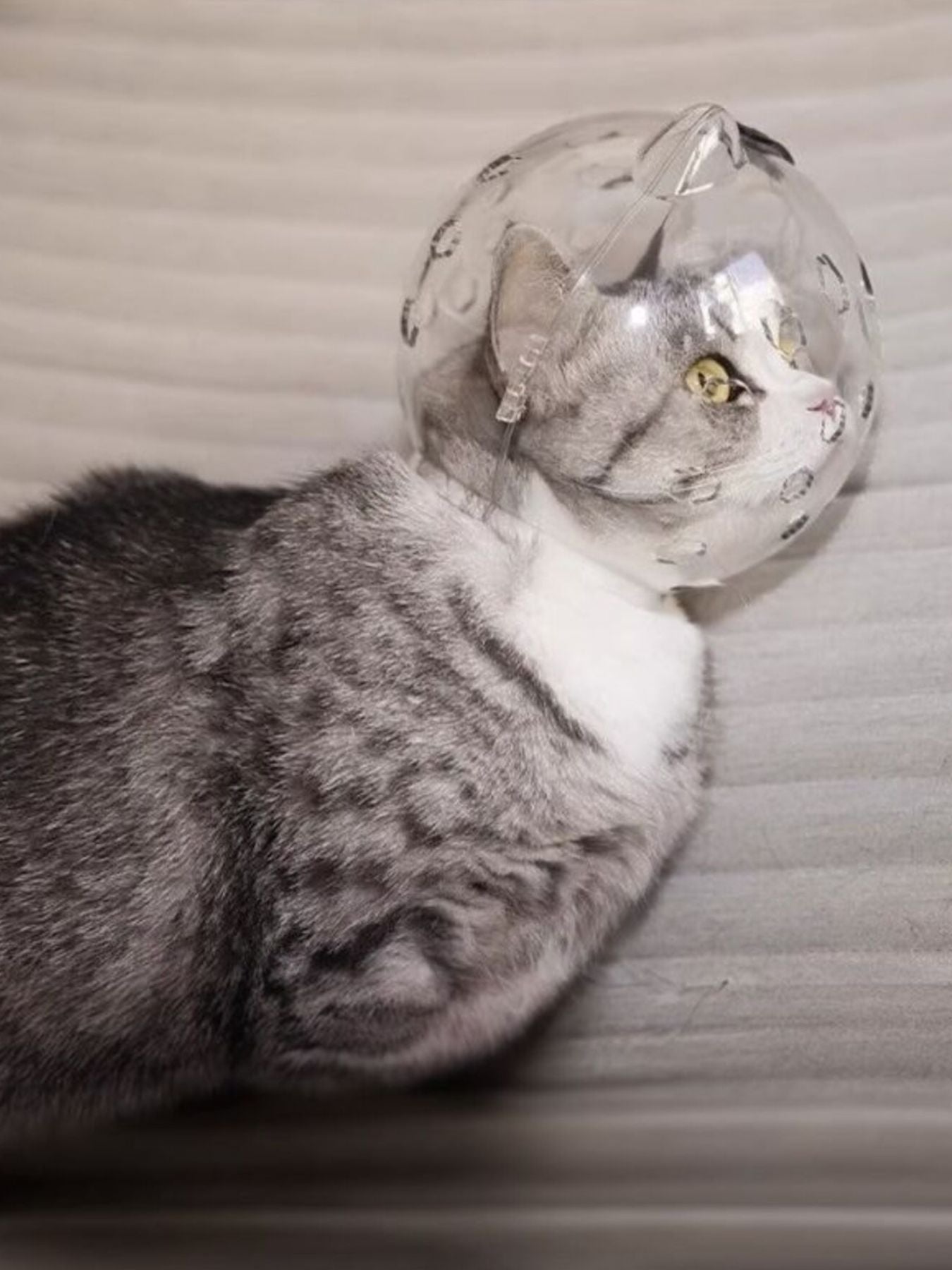 Clear Shield - Anti-Bite Pet Spherical Head Cover