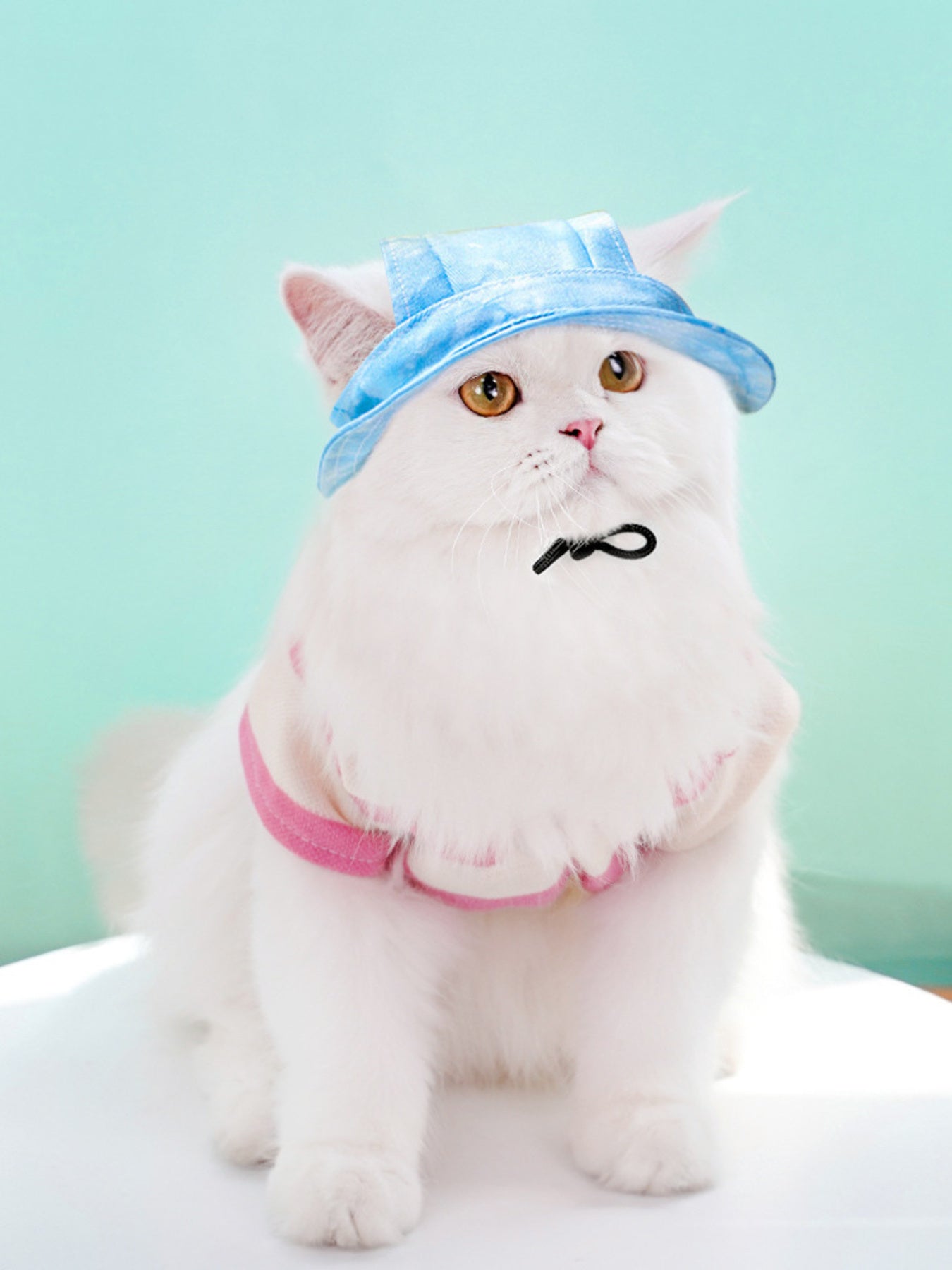 Adjustable Pet Visor Hat - Sun-Safe Shade