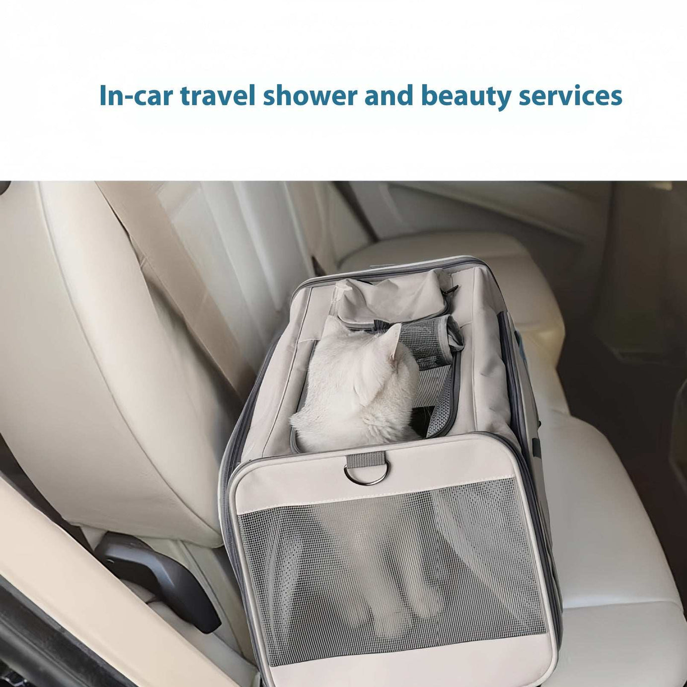Portable Pet Carrier for Cats and Small Dogs - Breathable Travel Backpack