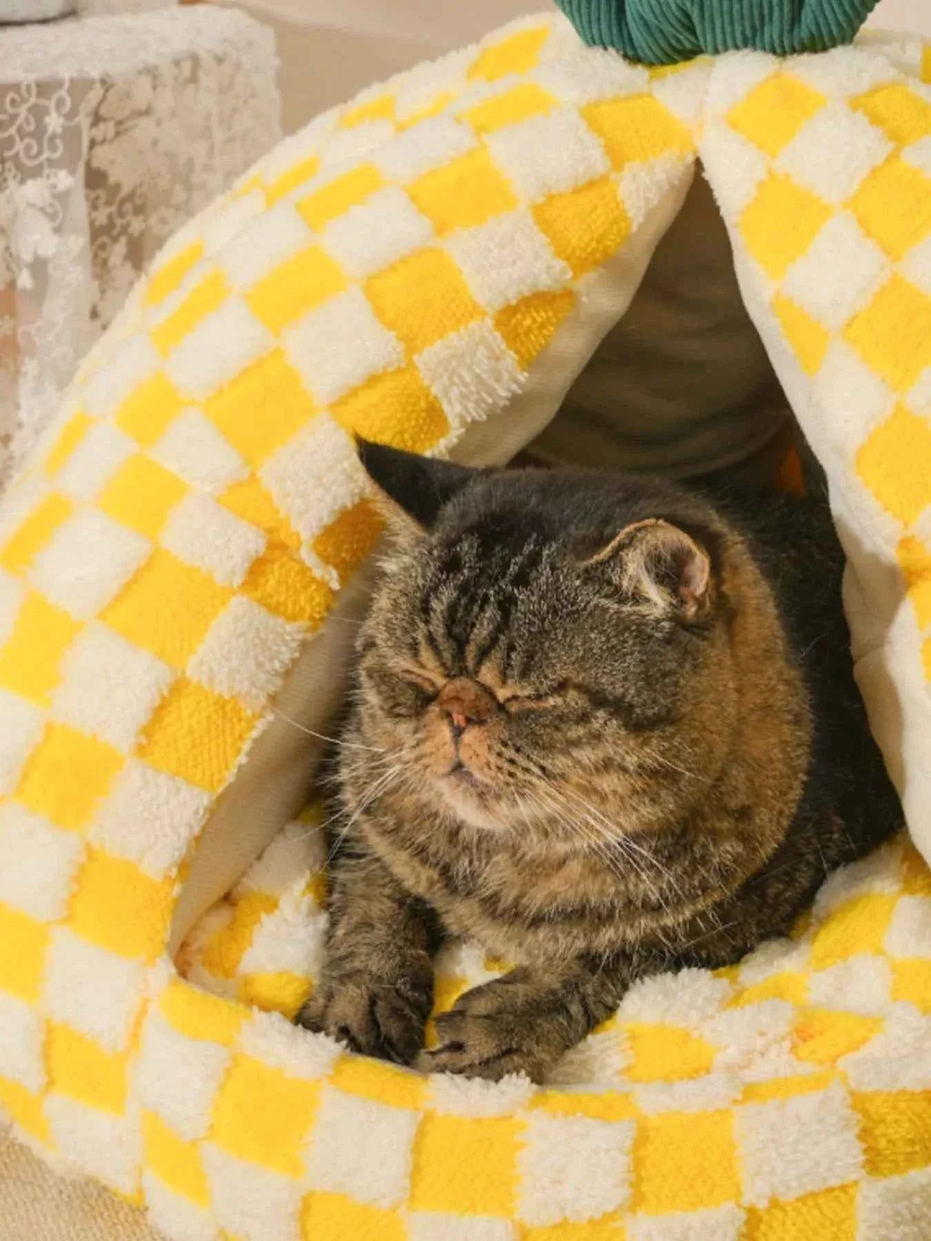 Pet Bed Pineapple Shaped - Cozy Semi-Enclosed Nest